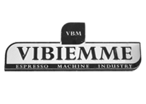 Vibiemmi Repair